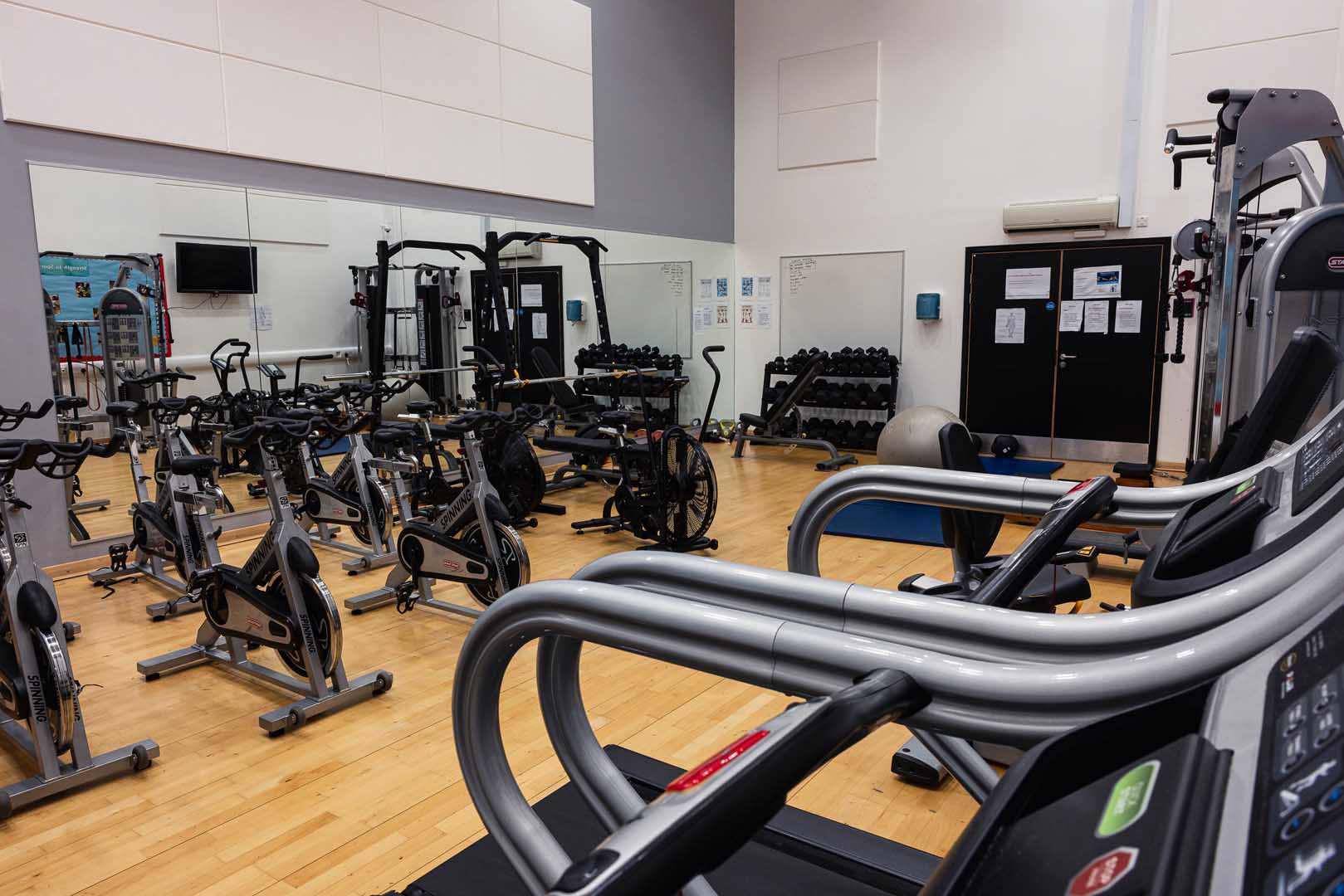 Fitness suite